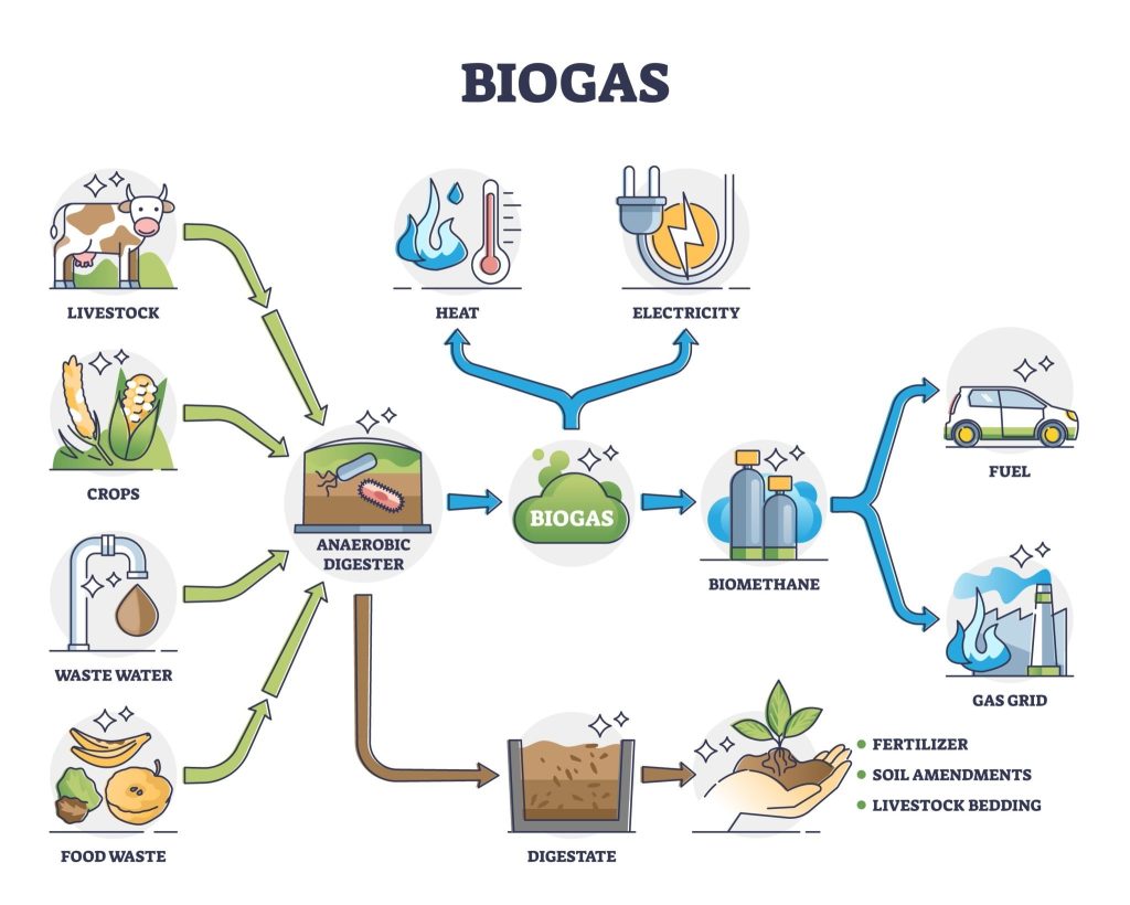 Contoh Energi Biomassa Kelebihan Dan Kekurangannya